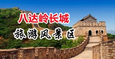 国产wwwwhhh中国北京-八达岭长城旅游风景区
